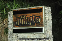 DSC_3844.jpg (118,808 bytes)