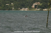 DSC_0452.jpg (60,946 bytes)