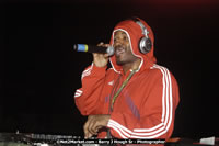 DSC_1451.jpg (39,307 bytes)