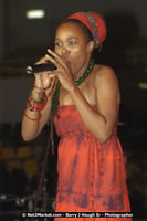 DSC_0138.jpg (40,313 bytes)