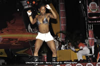 DSC_7530.jpg (76,211 bytes)