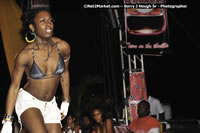 DSC_7540.jpg (59,250 bytes)