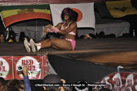 DSC_7553.jpg (78,940 bytes)