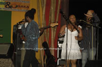 DSC_1176.jpg (81,311 bytes)