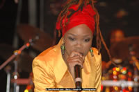 DSC_8018.jpg (47,354 bytes)