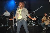 DSC_1197.jpg (130,243 bytes)