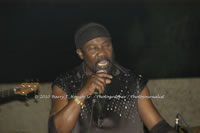 DSC_0381.jpg (42,165 bytes)