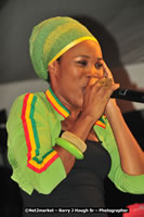 DSC_6701.jpg (78,186 bytes)